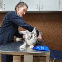 Vets4Pets | Adelaide Vets | General & Emergency Veterinary Care
